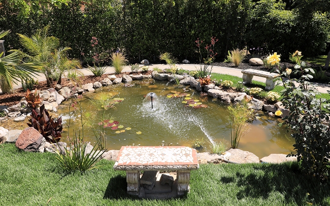 Tranquil pond with fountain and water feature at our rehab facility