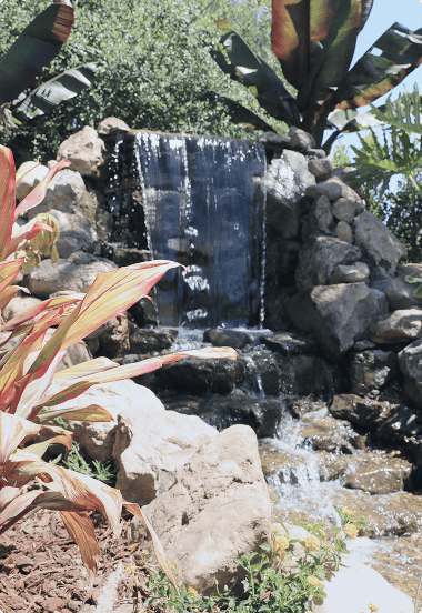 Tranquil garden waterfall with colorful plants at our rehab facility